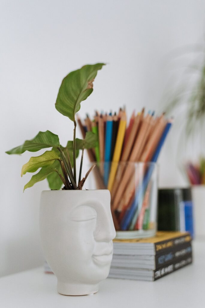 plant in white face shaped pot with container of colored pencils behind it