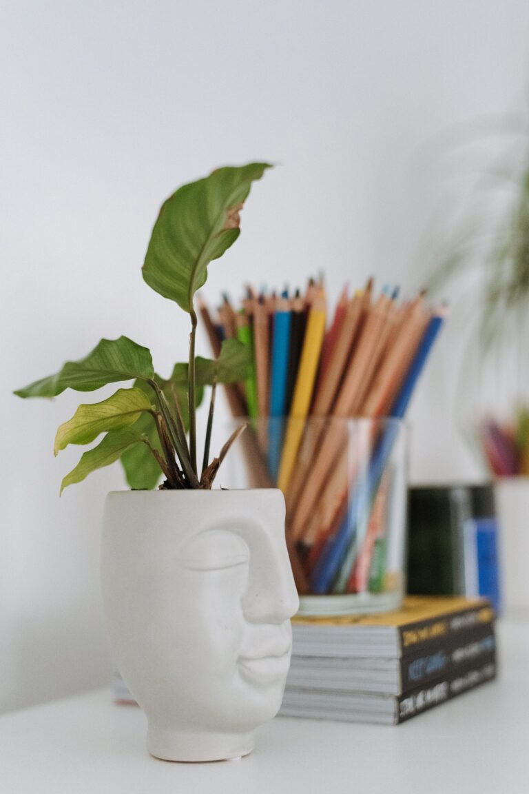 plant in white face shaped pot with container of colored pencils behind it