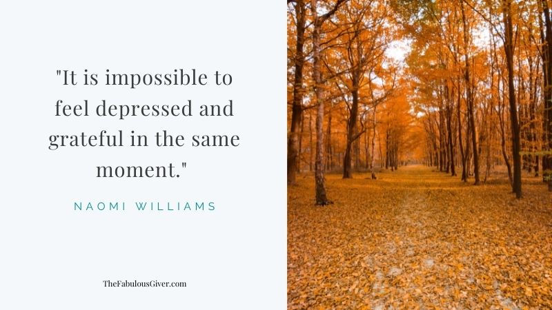 Quote graphic: It is impossible to feel depressed and grateful in the same moment.